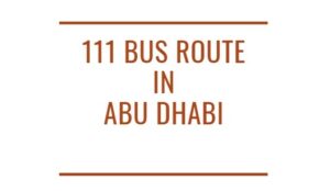 111 Bus