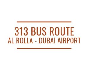 313 Bus Route