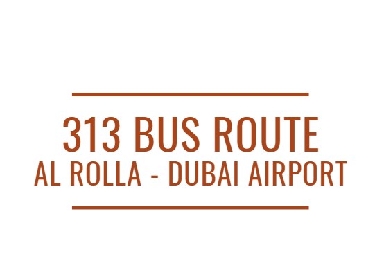 313 Bus Route