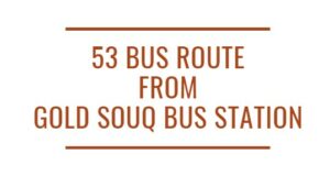 53 Bus