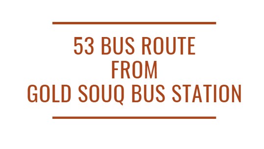 53 Bus