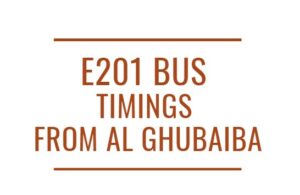 E201 Bus Timings